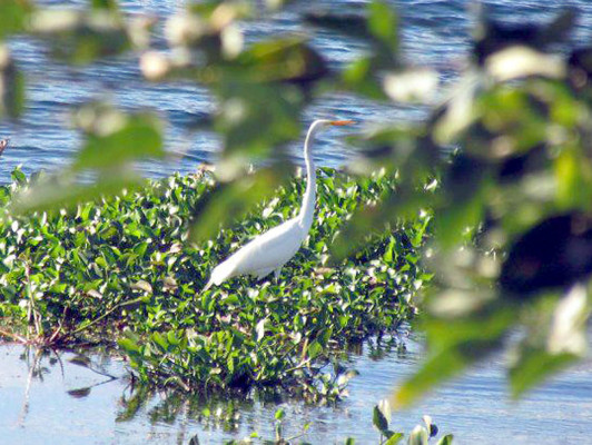 Fotos de los lectores para el Día de la Tierra