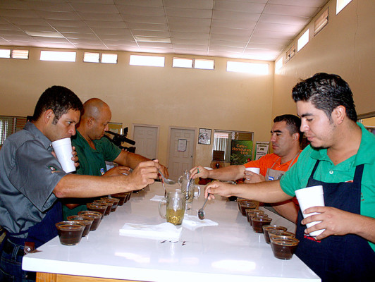 Producción de café: una tradición ancestral de El Paraíso