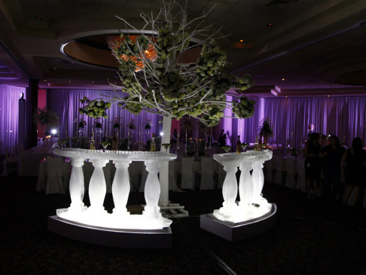 La Boda de Natalie Pagels y Juan Canahuati