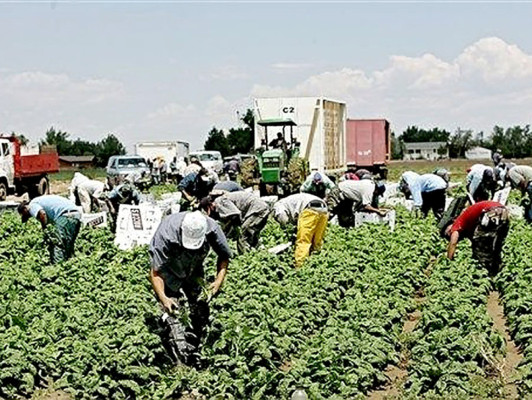 EE UU arremete contra el empleo de los indocumentados