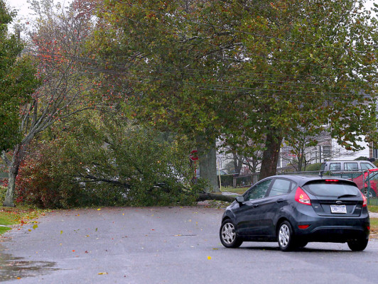 Consulado hondureño en alerta permanente