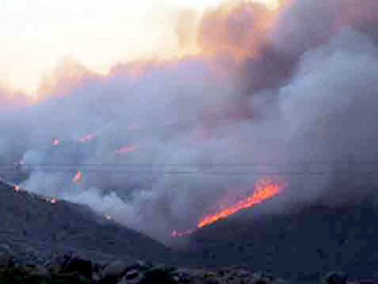 Mueren 19 bomberos en incendio en Arizona