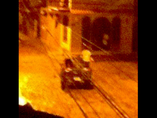 Denuncian matanza de perros callejeros en Copán