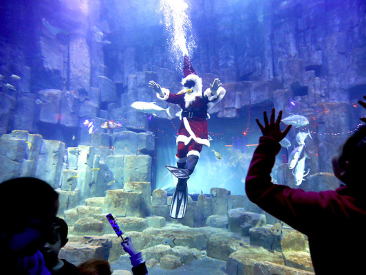 El mundo celebra la Navidad