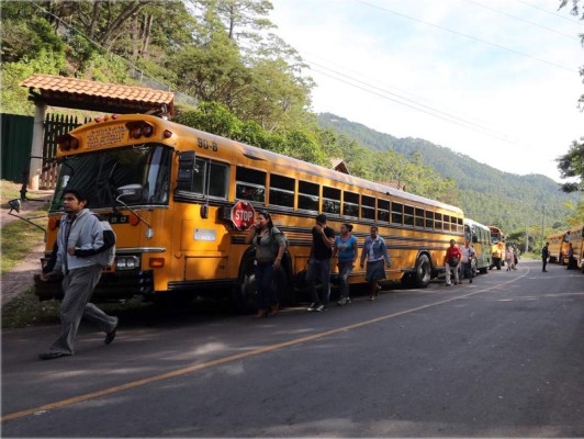 Transportistas anuncian paro en todo Honduras