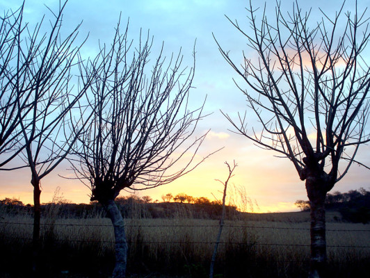 Fotos: Paisajes de inigualable belleza