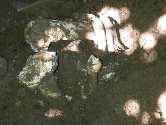 Hallan otras dos osamentas en cementerio clandestino