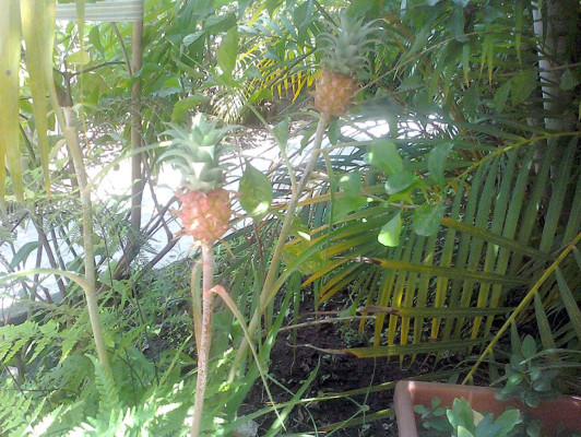 Fotos de los lectores para el Día de la Tierra