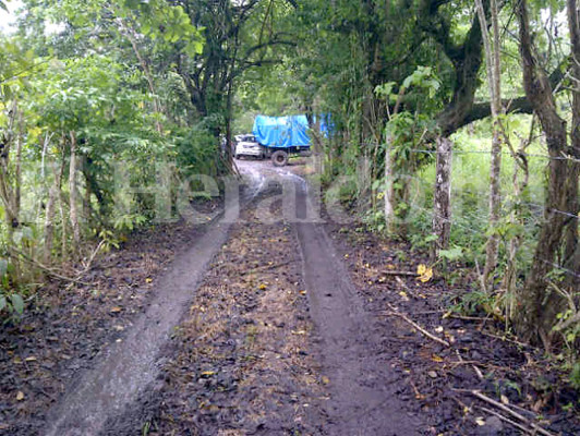 Decomiso de droga sería el más grande en la historia de Honduras