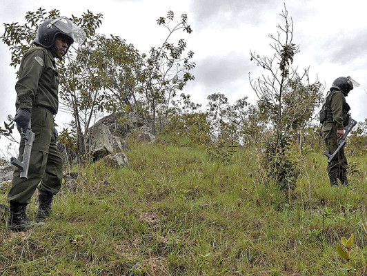 'Sin la coca no tenemos nada' lamentan campesinos bolivianos