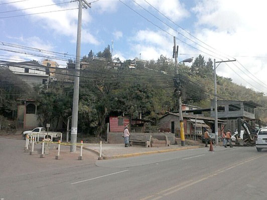 Cortan árbol en salida a Valle de Ángeles