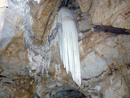 EL HERALDO te premia en el Día de la Tierra