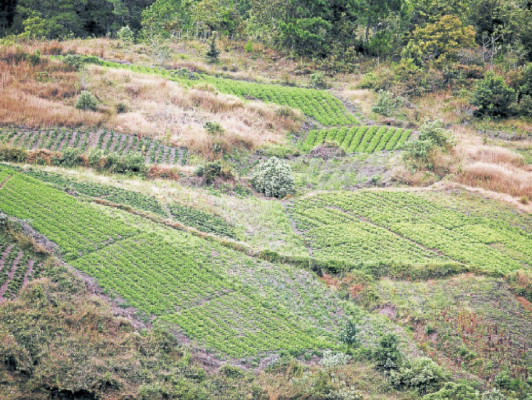 El Piligüín, rincón donde se gestó el milagro
