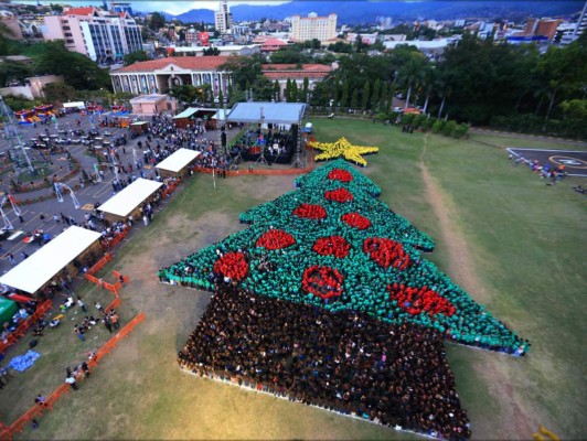 Honduras rompe récord Guinness con árbol