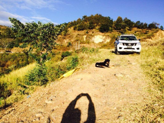 Matan a joven que había sido raptado y es hallado junto a su perro