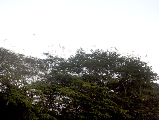 Fotos: Paisajes de inigualable belleza