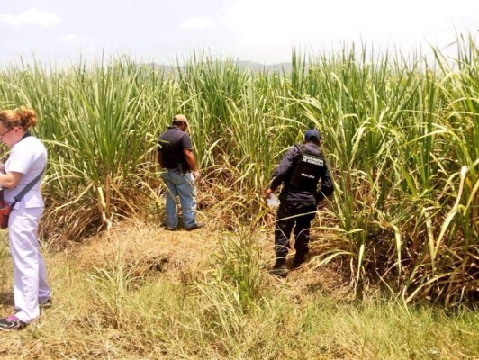 Hallan cuerpo de jovencita en cañeras de San Pedro Sula