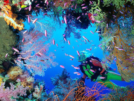 Fotos de los lectores para el Día de la Tierra