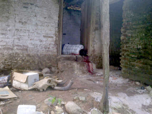 A machetazos asesinan a dos hombres en Comayagua