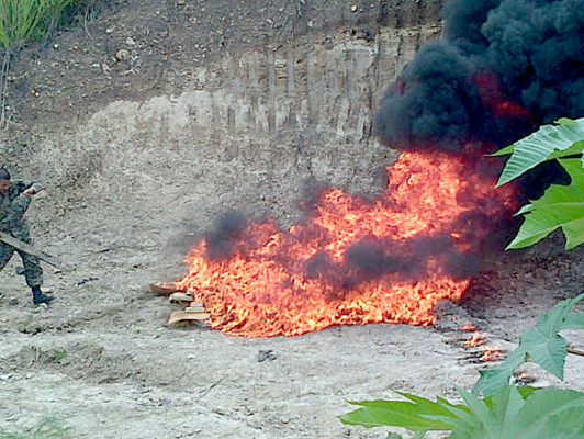 Incineran más de 400 kilos de cocaína