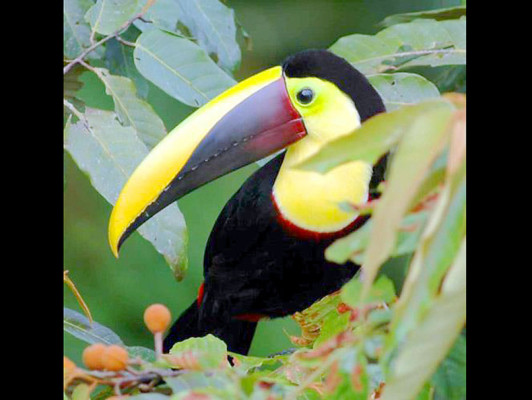 EL HERALDO te premia en el Día de la Tierra
