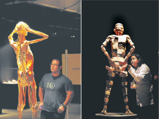 Our body, una radiografía del cuerpo humano