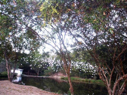 Fotos: Paisajes de inigualable belleza