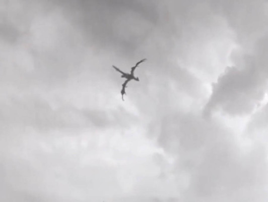 Dragón en Inglaterra