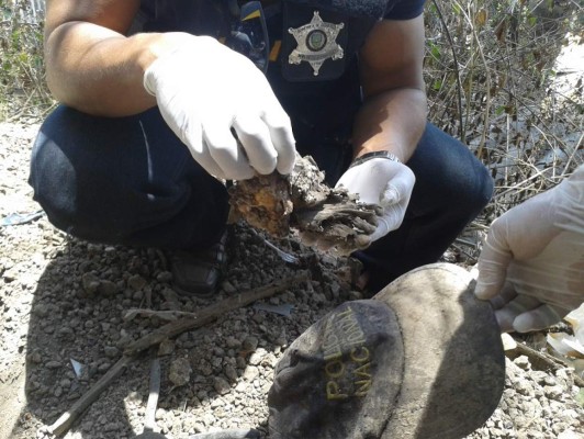 Descubren cementerio clandestino y 'casas locas”
