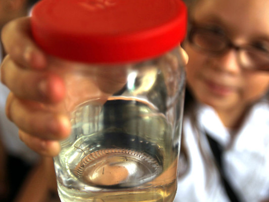 Honduras: Salud reporta 12 mil casos de dengue