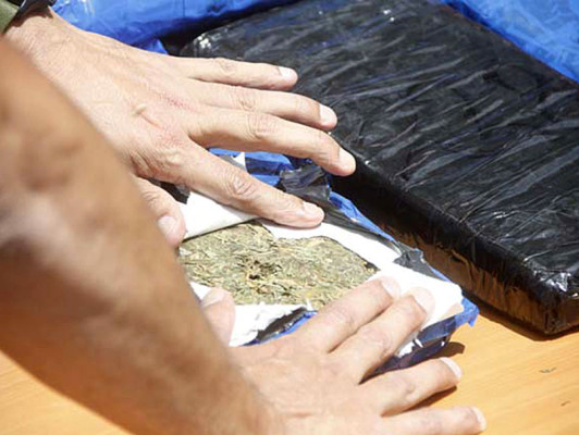 Identifican a dueño de droga incautada