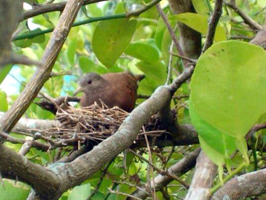 Fotos de los lectores para el Día de la Tierra