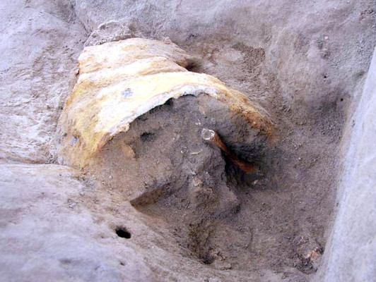Hallan cuerpo del siglo VI bajo cenizas de la 'Pompeya de Japón'