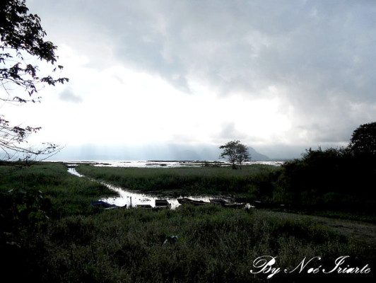 EL HERALDO te premia en el Día de la Tierra