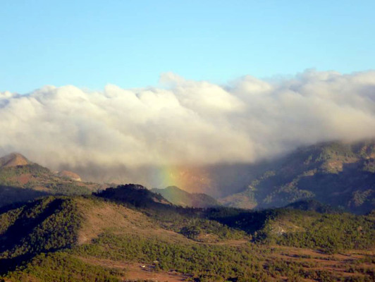 EL HERALDO te premia en el Día de la Tierra
