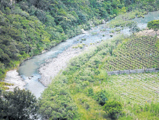 Guacerique II tendrá tres cortinas de concreto