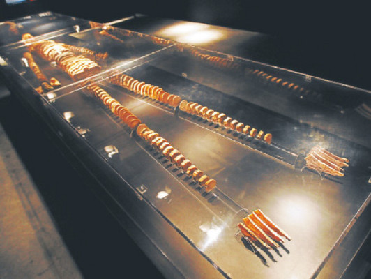 Our body, una radiografía del cuerpo humano