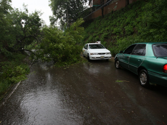 Una menor ahogada y desastres por tormenta en capital de Honduras