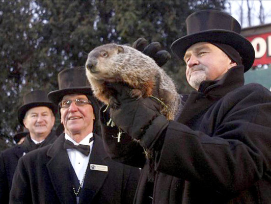 Piden 'pena de muerte' para marmota meteoróloga