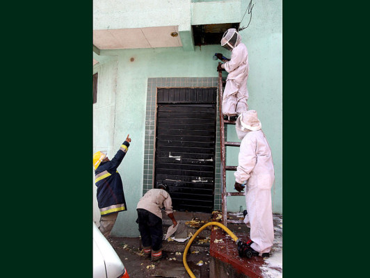 Alarma por enjambre de abejas en colonia Lara