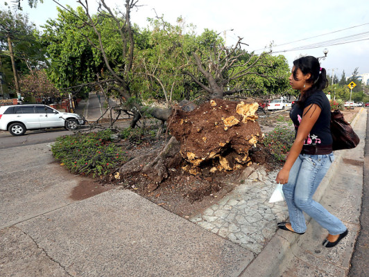 Los estragos que dejó la tormenta en Tegucigalpa y Comayagüela