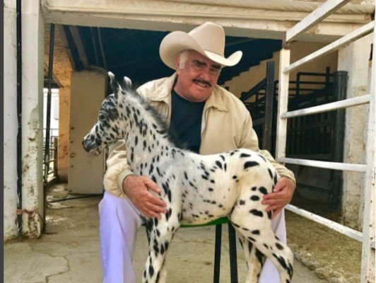 Vicente Fernández publica tierna foto de su primera bisnieta