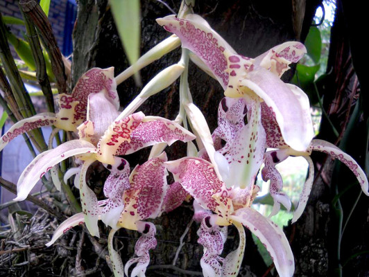 EL HERALDO te premia en el Día de la Tierra