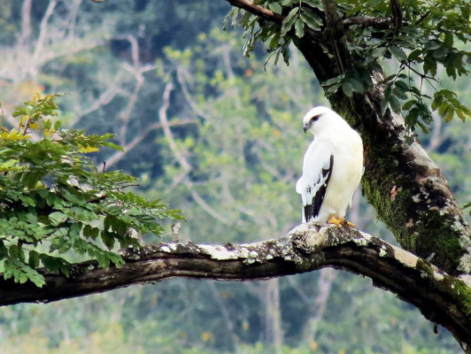 Fotos de los lectores para el Día de la Tierra