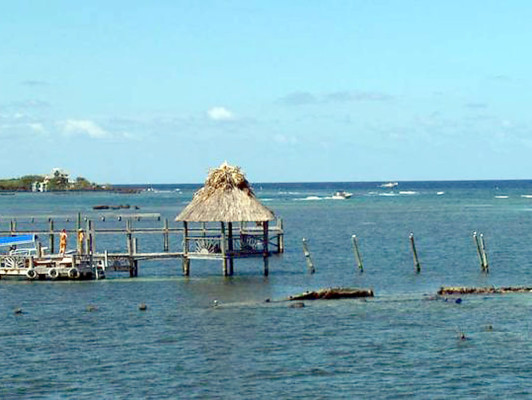 Televisión Española emite documental sobre Honduras
