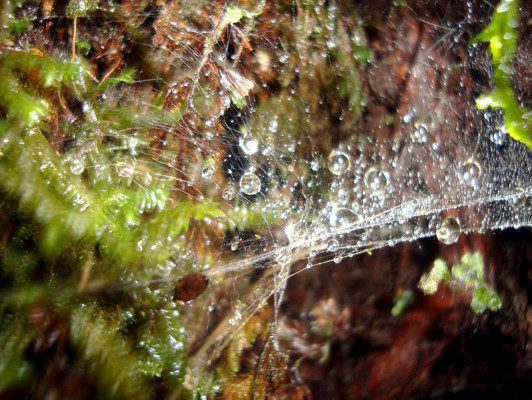 Fotos de los lectores para el Día de la Tierra