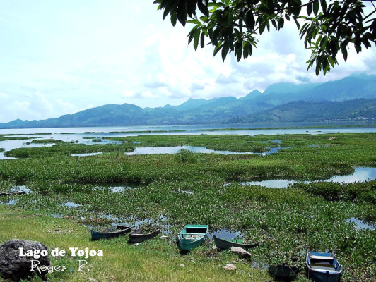 EL HERALDO te premia en el Día de la Tierra