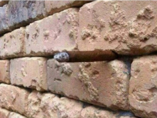 Una imagen pone de cabeza a los usuarios de Facebook