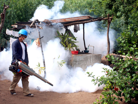 ONU asocia cambio climático con dengue y meningitis