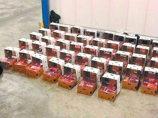 Incautan coca en Róterdam